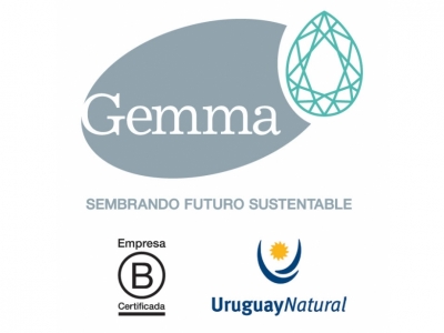 Formación en Responsabilidad Social y Sustentabilidad para Docentes